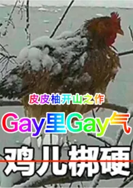 《gay里gay气》完整版免费阅读