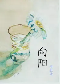 《向阳》小说免费阅读