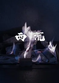 《西沉》小说免费阅读