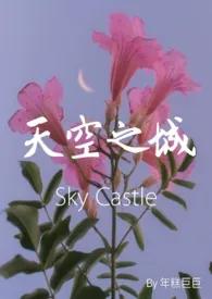 天空之城｜Sky Castle （*N）2024最新章 天空之城｜Sky Castle （*N）小说免费阅读