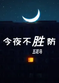 《今夜不胜防（伪）》小说免费阅读