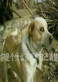 像云朵呀小说 像云朵呀Torui