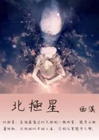 《北极星》（精校小说）作者：C西溪C