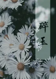 《【剑三／毒花】《碎玉》(高H)》小说免费阅读