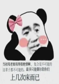 《他们都想和我复合》（精校小说）作者：咕咕咕的大橘