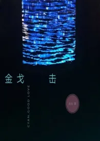 《金戈击【H】》（精校小说）作者：西古