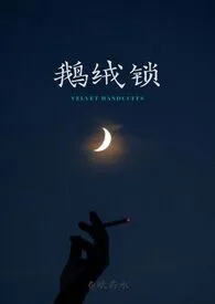 《鹅绒锁》完整版免费阅读