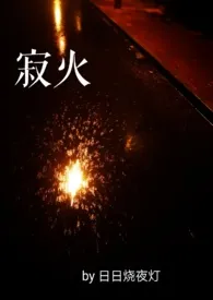 《寂火》（精校小说）作者：日日烧夜灯