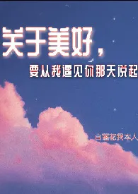 《关于美好，要从我遇见你那天说起》小说免费阅读