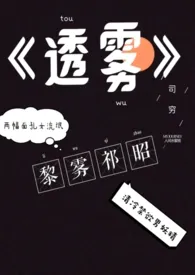 《透雾》（校对版全本）作者：司穷