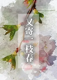 《又寄一枝春（穿书1v2）》小说免费阅读