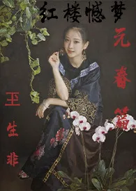 《红楼憾梦：元春篇》小说（玊生非）