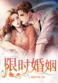 《限时婚姻 （1V1 H）》作者：橘猫不胖