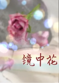 《镜中花（高干 娱乐圈 H）》小说（无梦）