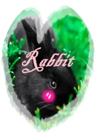 《Rabbit》（精校小说）作者：面具