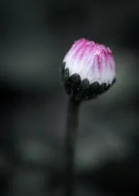 家庭男保姆眉雪免费阅读 家庭男保姆最新章节