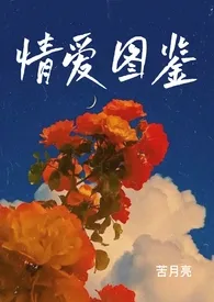 《情爱图鉴（H合集）》小说免费阅读