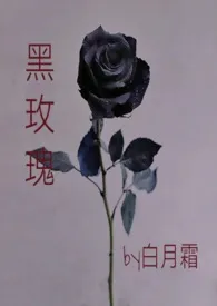 《黑玫瑰》作者：白月霜