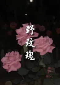 《野玫瑰》小说免费阅读