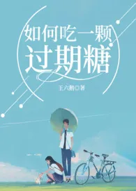 《如何吃一颗过期糖（校园都市H）》（校对版全本）作者：王六鹅