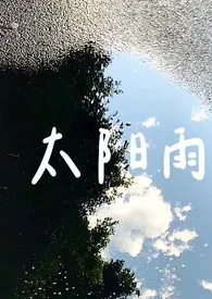 《太阳雨》小说免费阅读