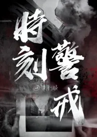 《时刻警戒(NP 刑侦)》（精校小说）作者：波利脆