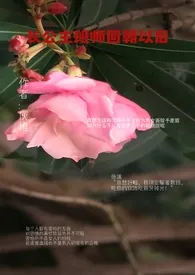 《长公主班师回朝以后（女宠男）》（精校小说）作者：炳明