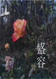 《盛容（男强女更强）》小说免费阅读