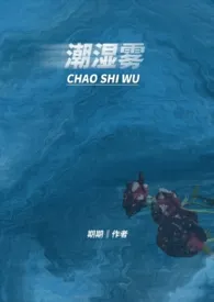 《潮湿雾（1V1）》小说（期期）