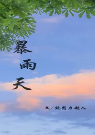 《暴雨天》小说免费阅读