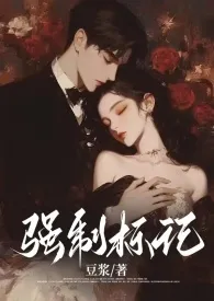 《强制标记（男A女O）》作者：豆浆