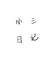 《小三日记》（精校小说）作者：忧郁王子米格鲁