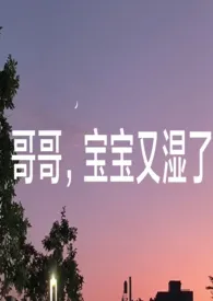 《哥哥，宝宝又湿了》小说免费阅读