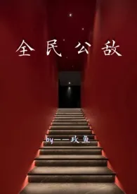 《全民公敌   (np  暗黑)》（精校小说）作者：玫鱼